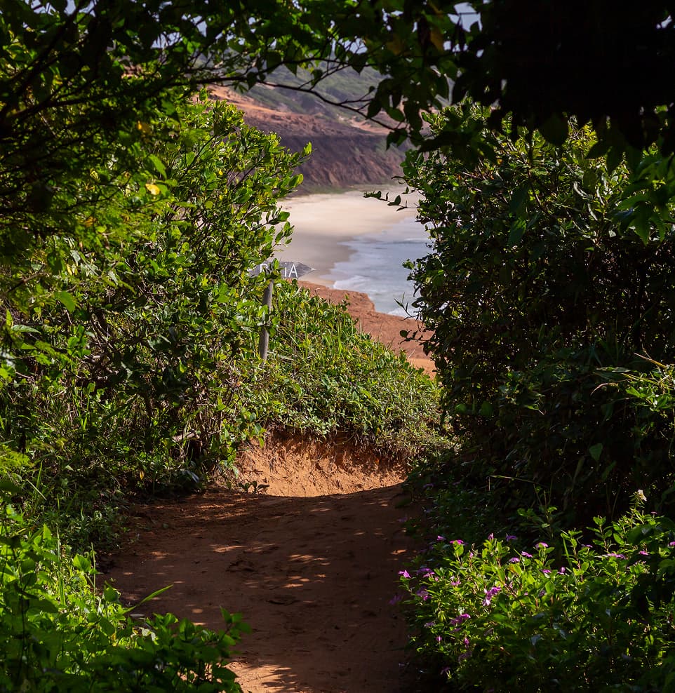 Trilha de areia entre a mata nativa que leva à praia de Sibaúma, no Kilombo Villas